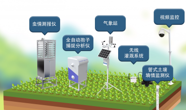 智慧農業(yè)創(chuàng)新方案，賦能農業(yè)現(xiàn)代化轉型新征程